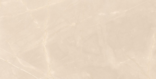 Керамогранит Armany_GT 600x1200x8,5 фото