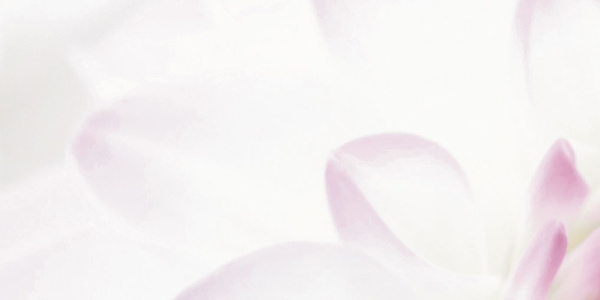 Декор Виолетта (панно из 6-ти) 1000х750х9 фото