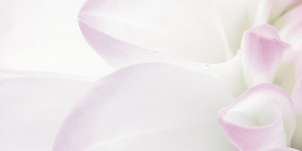 Декор Виолетта (панно из 6-ти) 1000х750х9 фото