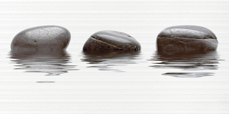 Декор Фреш 500х250х9 - фото