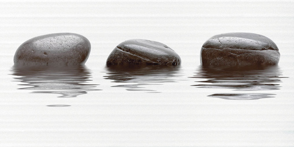 Декор Фреш 500х250х9 фото