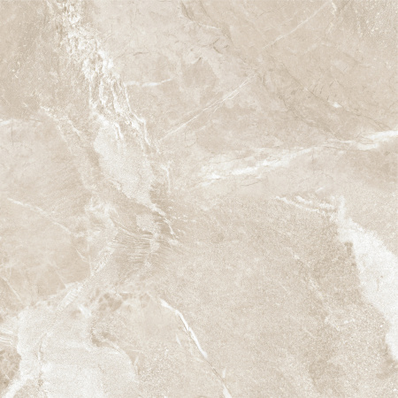 Керамогранит Wild Gold (New Trend) 600х600х9,5 - фото