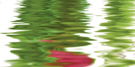 Декор Тюльпаны (панно из 6-ти) 1000х750х9 - фото