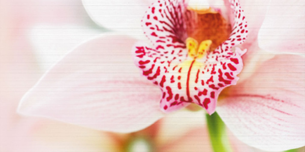 Декор Меланж 1000х500х9 фото