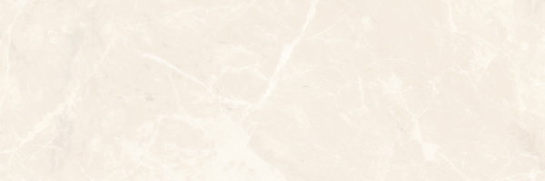 Плитка для стен Ринальди 600х200х9 фото