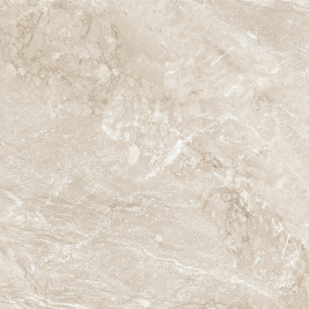 Керамогранит Wild Gold (New Trend) 600х600х9,5 - фото