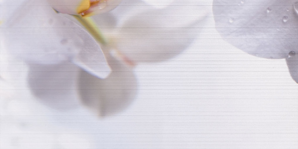 Декор Меланж 1000х500х9 фото