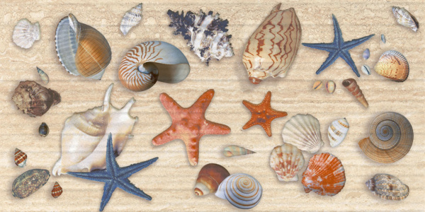 Декор Аликанте 500х250х9 фото