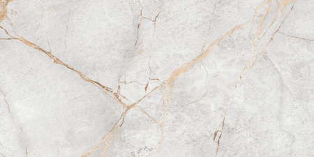 Керамогранит Special Marmo Gray (LCM) 600х1200х7 - фото