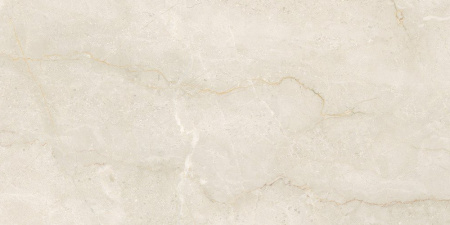 Керамогранит Bottochino_GT 600х1200х6,5 - фото