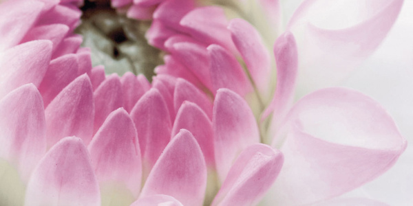 Декор Виолетта (панно из 6-ти) 1000х750х9 фото