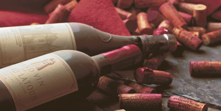 Декор Тоскана 500х250х9 - фото