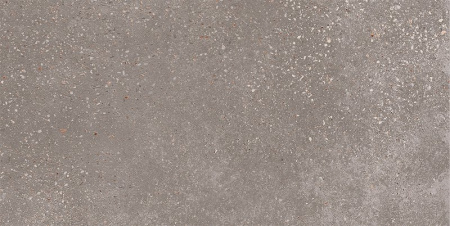 Керамогранит Coral Rock_GT 300x600x9 - фото