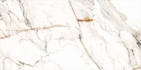 Керамогранит Calcutta Paonazzo_GT 600x1200x8,5 - фото