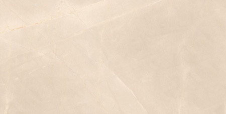 Керамогранит Armany_GT 600x1200x8,5 - фото