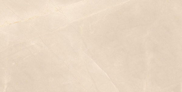 Керамогранит Armany_GT 600x1200x8,5 фото