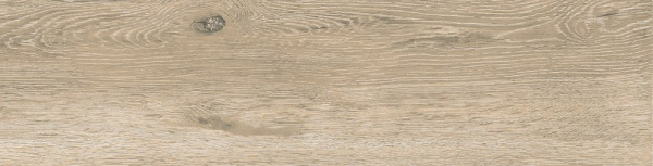 Керамогранит Atlanta_GT 150х600х8 фото