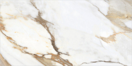 Керамогранит Borghini_GT 600х1200х9 - фото