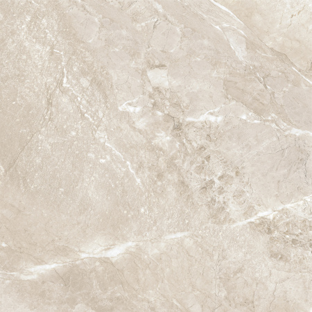 Керамогранит Wild Gold (New Trend) 600х600х9,5 - фото