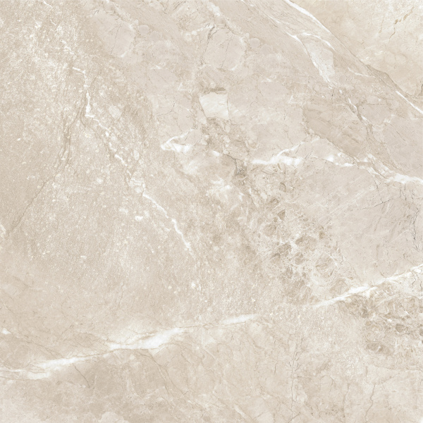 Керамогранит Wild Gold (New Trend) 600х600х9,5 фото