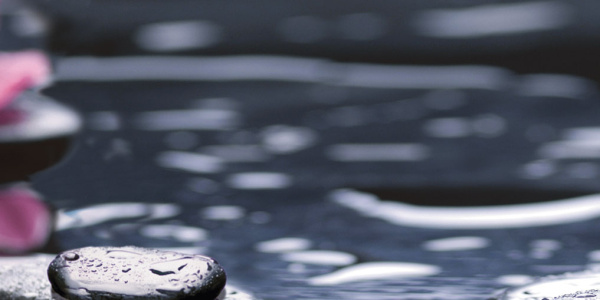 Декор Орхидея 500х250х9 фото