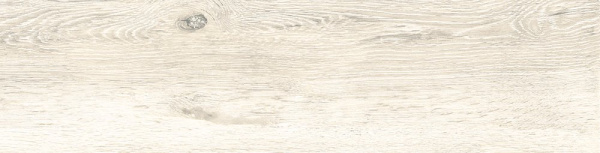 Керамогранит Atlanta_GT 150х600х8 фото