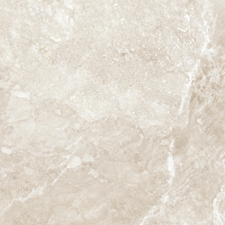 Керамогранит Wild Gold (New Trend) 600х600х9,5 - фото