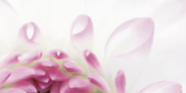 Декор Виолетта (панно из 6-ти) 1000х750х9 фото