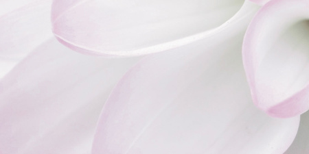 Декор Виолетта (панно из 6-ти) 1000х750х9 - фото