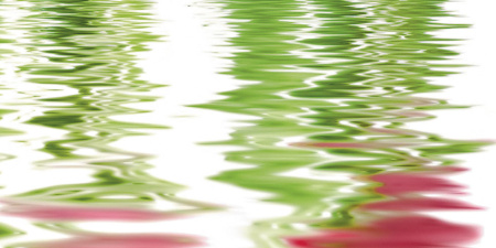 Декор Тюльпаны (панно из 6-ти) 1000х750х9 - фото