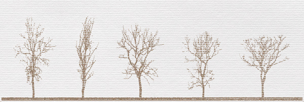 Декор Фореста 600х200х9 фото