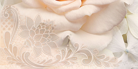 Декор Амелия 500х250х9 - фото