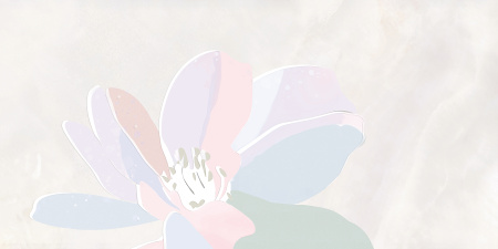 Плитка для стен Элис 600х300х9 - фото