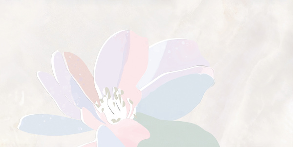 Плитка для стен Элис 600х300х9 фото