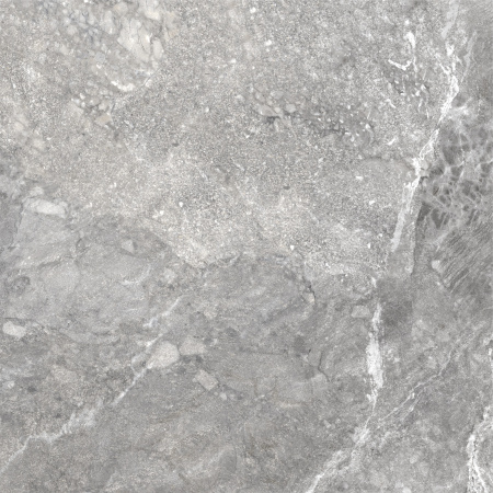 Керамогранит Wild Dark (New Trend) 600х600х9,5 - фото