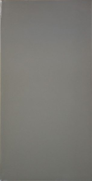 Плитка для стен Мидаль 400х200х8 фото