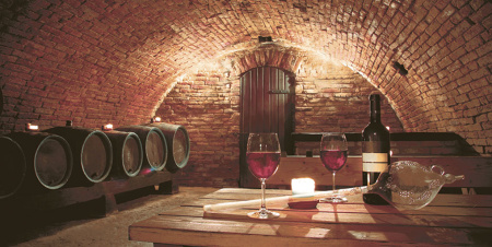 Декор Тоскана 500х250х9 - фото