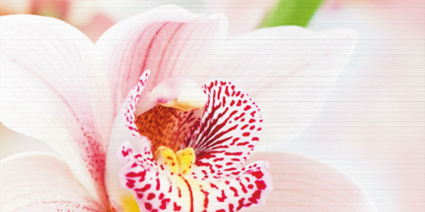 Декор Меланж 1000х500х9 фото