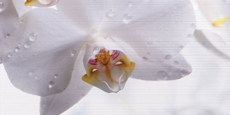 Декор Меланж 1000х500х9 - фото