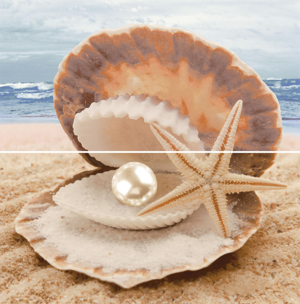 Декор Аликанте 500х250х9 фото