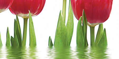 Декор Тюльпаны (панно из 6-ти) 1000х750х9 - фото