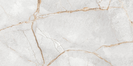 Керамогранит Special Marmo Gray (LCM) 600х1200х7 - фото