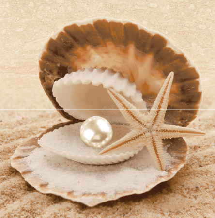 Декор Аликанте 500х250х9 - фото