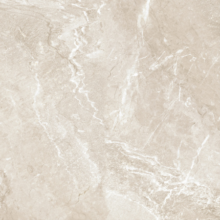 Керамогранит Wild Gold (New Trend) 600х600х9,5 - фото