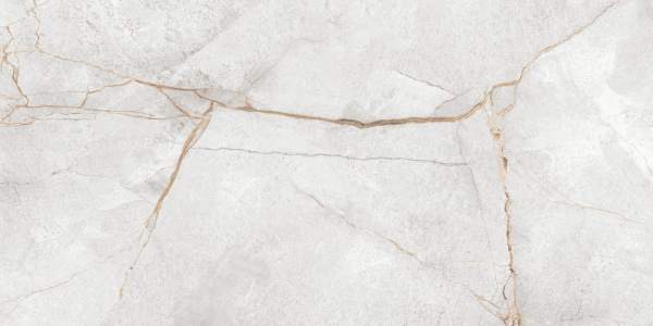 Керамогранит Special Marmo Gray (LCM) 600х1200х7 фото