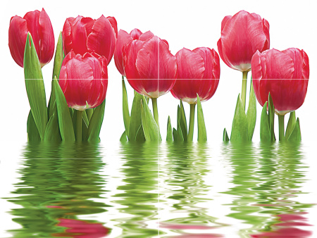 Декор Тюльпаны (панно из 6-ти) 1000х750х9 - фото