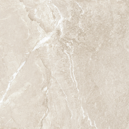 Керамогранит Wild Gold (New Trend) 600х600х9,5 - фото