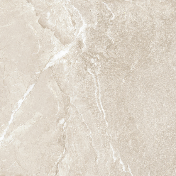 Керамогранит Wild Gold (New Trend) 600х600х9,5 фото