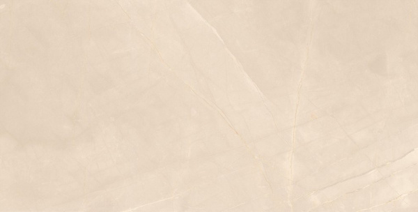 Керамогранит Armany_GT 600x1200x8,5 фото