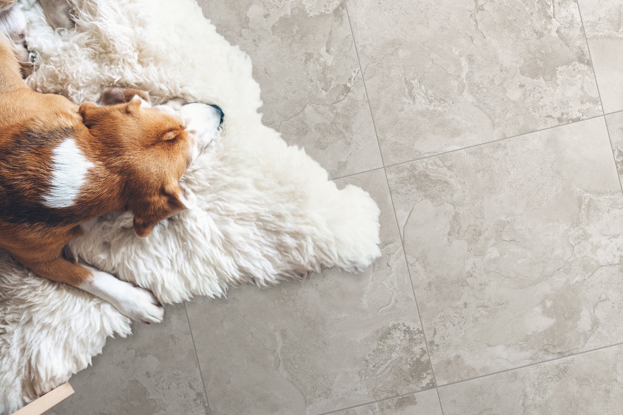 Керамогранит коллекция Левенбург / Levenburg_GT фото 4